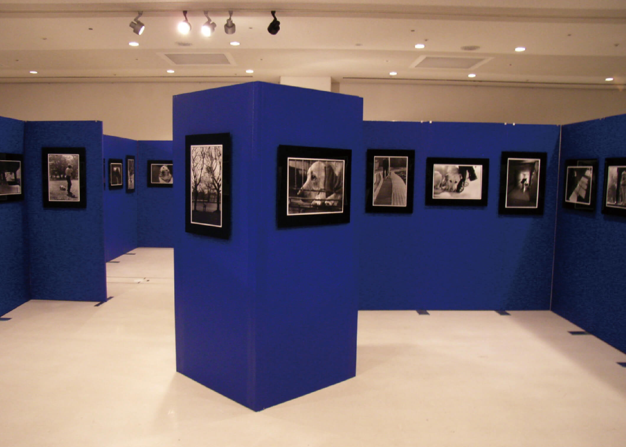 写真展・絵画展などの作品を展示する壁面パネルとして